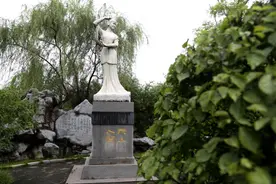 只为心中挚爱一一致严凤英大师九十诞辰图片