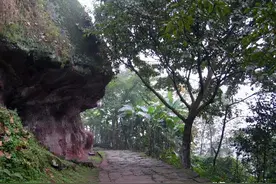 回忆沙湾，泸州一处老码头，古茶马驿站的地方，如今成荒芜图片