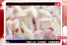 发芽花生还能吃吗？专家：可以吃！视频封面