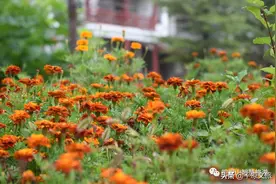 今天我带你去这个地方“脱尘洗肺,涤荡心灵”图片