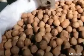 太招笑了！沈阳“三只松鼠”吃霸王餐火遍网络！看到最后居然感觉好暖…图片