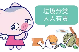 垃圾分类游戏挑战赛我竟然输了，你快来试试吧！图片