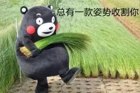 “炒股专家”教你炒股？警惕“荐股”骗局！图片