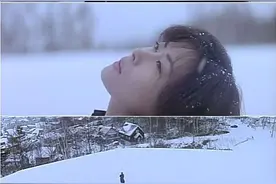 十年情书，青春浮现，似水年华图片