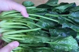 菠菜这样做，我家一周做6次，下酒又下饭，上桌就抢光图片