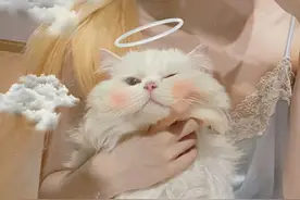 女生小知识5图片