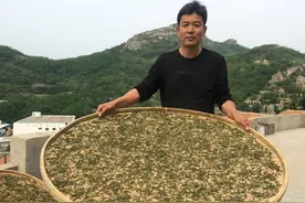 2020年崂山茶斗茶大赛金奖得主胡孝林：从17岁开始做茶，北崂茶农的35年匠心之路图片