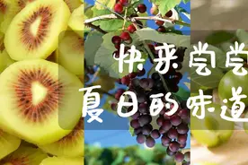 快来尝尝夏日的味道吧！图片