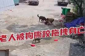 2021年福建恶犬咬人案：七旬老人被狗拖咬致死，家属拒赔只求严惩图片