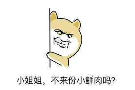国产游戏神作登顶steam，女主靠颜值征服老外，玩家：是我老婆！图片