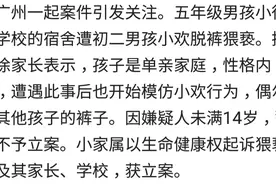 小学生遭猥亵，事后开始模仿脱其他孩子裤子图片