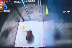 熊孩子！电梯里蹦跳、扒门，导致电梯故障，嚎啕大哭……图片