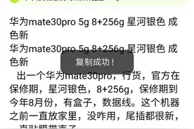揭露一个闲鱼低价手机诈骗的套路图片
