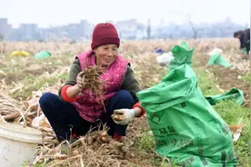 农村俗语：“一代做官九代绝，一家发财九家贫”，真的是这样吗？视频封面