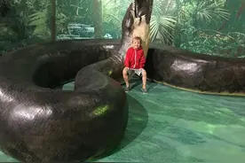 5600万年前，重达1吨的大蛇成食物链的顶端，形成原因或再次出现图片