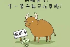 亲爱的呀，瘦下来怎么那么难，体重就和热气球似的，越升越高图片
