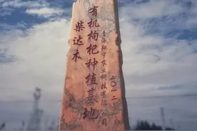 孕育黑枸杞的“瀚海明珠”-诺木洪图片