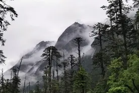 扎墨公路会车难，难于上青天，扎墨公路景色美，美过仙境。图片