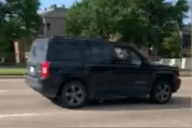 美国鸭妈妈带娃散步，遭越野车豪横碾轧，结果引起舒适图片