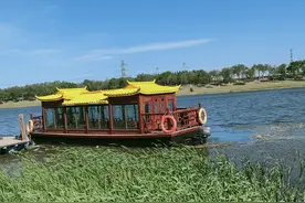 初夏的北辰郊野公园图片