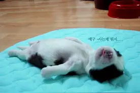 裸睡睡姿13式（超可爱.）图片