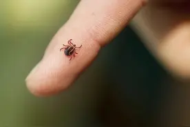 这种病毒有人传人风险，如何有效避免受感染？图片