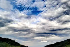 村里山塘有群鸭，吃的是小鱼小虫饮的是山塘清泉，这鸭肉肯定香甜图片
