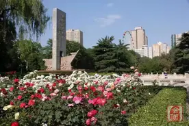 「红色记忆」碧沙岗公园的前世今生图片