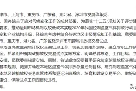 碳中和现在为什么火？图片