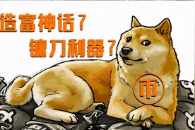 专业打脸比特币，狗狗币半年暴涨100倍图片