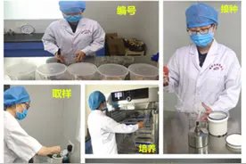 隔夜剩菜不仅有毒还会致胃癌？不敢吃隔夜剩菜的人看看吧图片