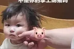 表情包：我难道不是你的掌上明珠吗图片