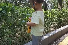 好物分享：牛听听超记牛，测评早教与学习功能，孩子爱上回家复习图片