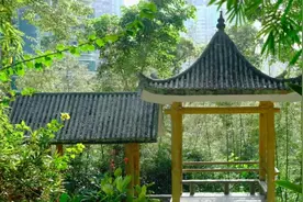 邀你打卡 | 翠竹公园：竹深树密虫鸣处，时有微凉不是风图片