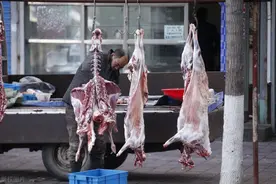 江西人为啥不喜欢吃羊肉？不只是因为吃不起，这3点才是主要原因图片