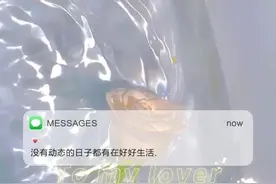 没有动态的日子都在好好生活图片