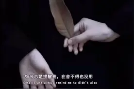 如果可以，我想重新认识你图片