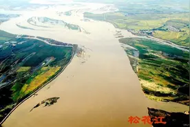 珍稀名贵，松花江野生鱼图片