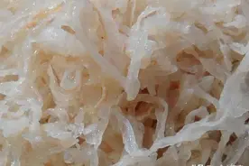 人工合成的5大“垃圾食品”，如果都吃过，那算你倒霉图片