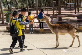 初冬遛娃好去处！随州这处亲子出游胜地，你种草了吗？图片