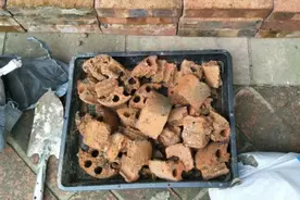 拿这6样东西垫花盆底，保管土壤透气、植物不烂根图片