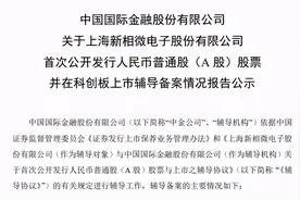 IPO | 显示驱动芯片厂商新相微启动上市辅导，科创板再添半导体新军图片
