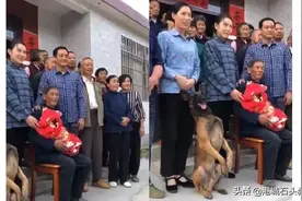 主人一家拍全家福，狼狗站中间身体挺直，笑容超灿烂图片