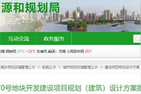 确认了！金茂、力高、金地联合操盘！规划42栋6层高住宅图片