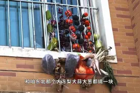小伙网购冰箱给水果“解冻”丨京东小哥：“搁东北冰箱是用来保鲜的”图片