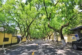 南京最悠闲的道路，这里有属于南京的民国记忆，还是一处网红地标图片