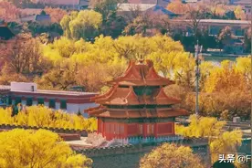 击败九寨沟、杭州、苏州！北京最惊艳的小众赏秋地，藏不住了图片