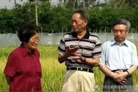 热搜第一！和袁隆平同学的91岁奶奶，让中国人实现了吃瓜自由！（一）图片