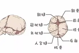 宝宝的囟门一碰就会傻？看看这篇文章你就知道了！​图片