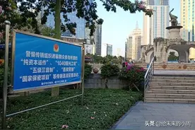 1040阳光工程创始人是谁？是老总吗？图片